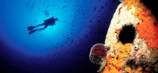  Buceo submarino 